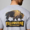 Tricou pentru bărbați Gregor Graphic